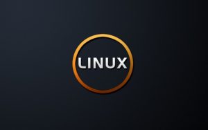 Linux技术